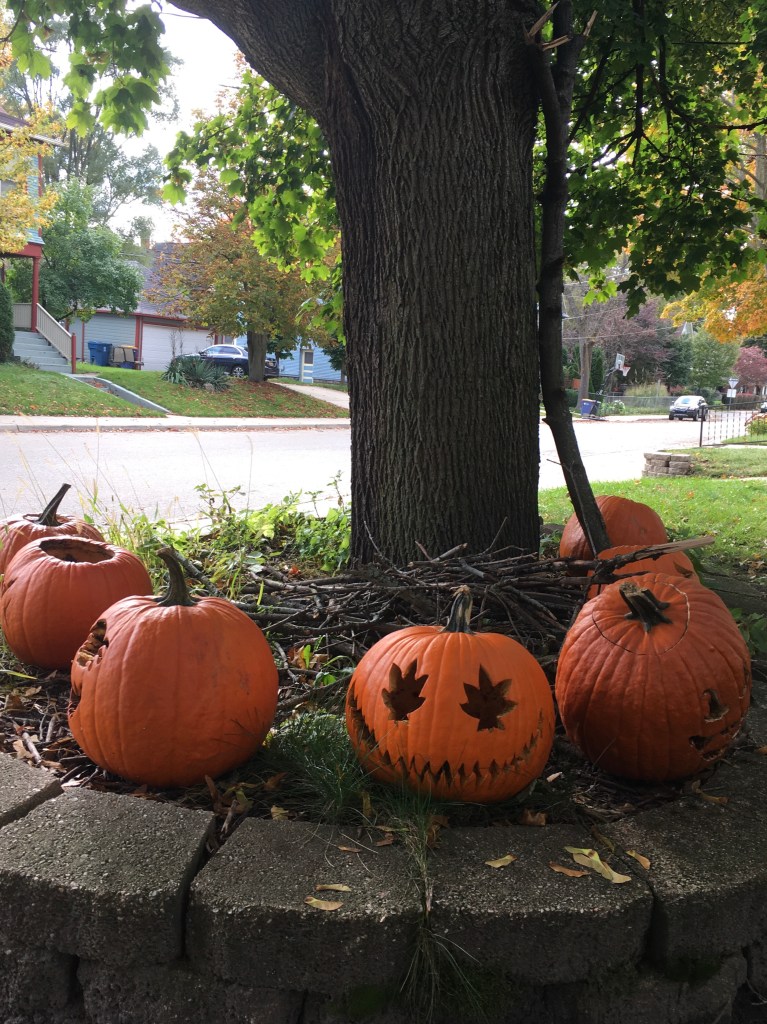 Calabazas alrededor de un árbol en Halloween