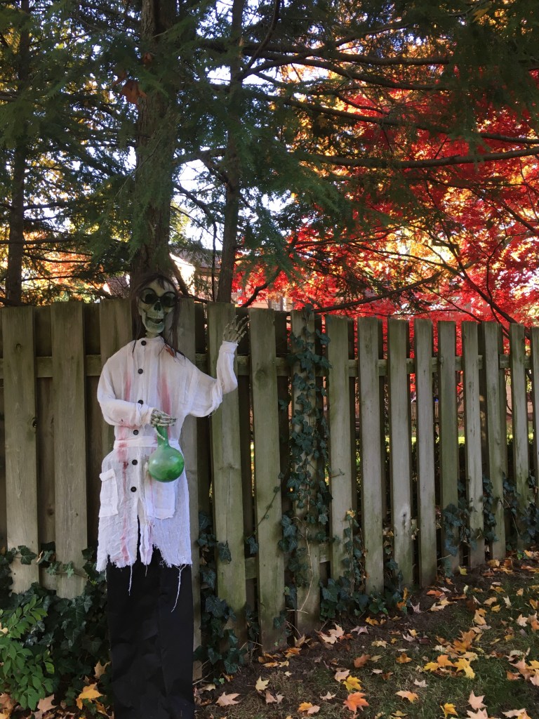 Un esqueleto con bata de científico en la valla de una casa