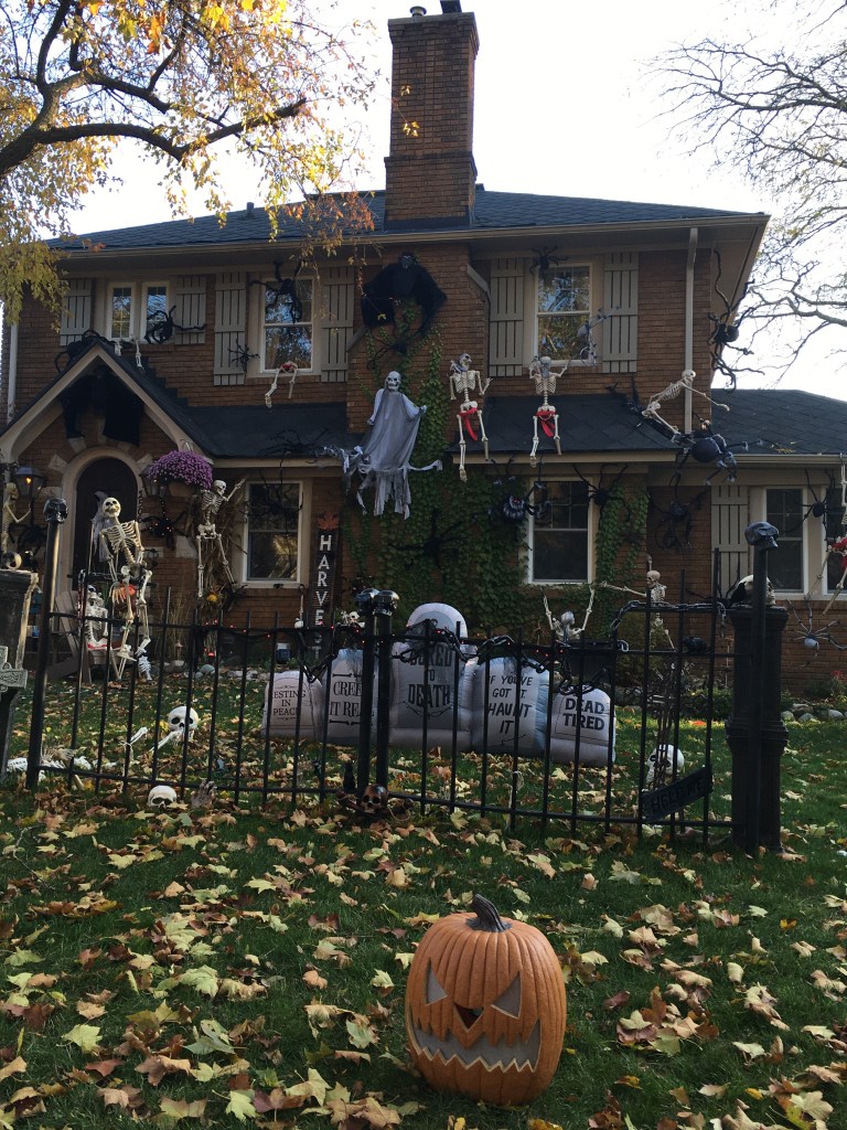 Calabazas y esqueletos en el jardín