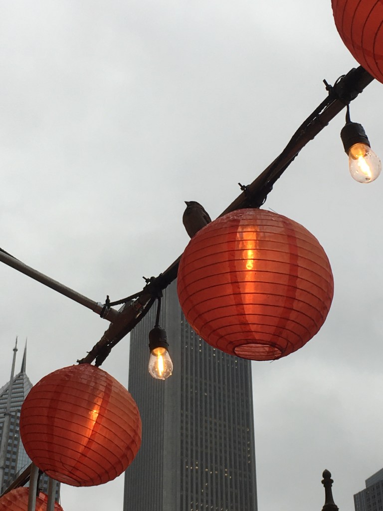 Un pájaro y farolillos de un restaurante chino