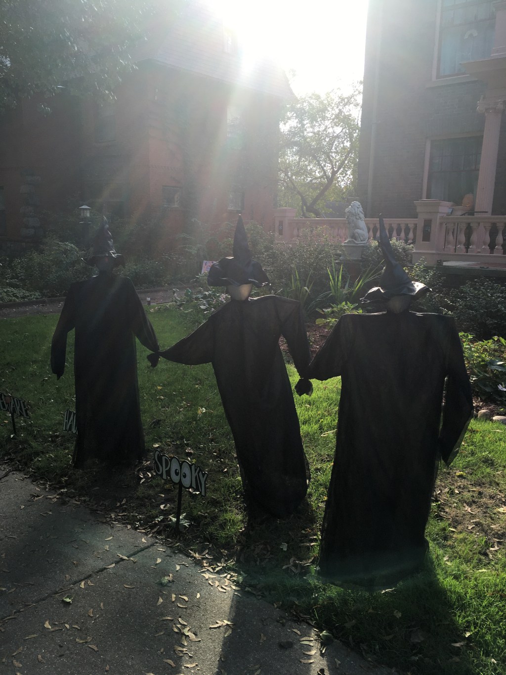 Capítulo 32: Halloween, a la caza de la calabaza 2021 (parte&nbsp;2)