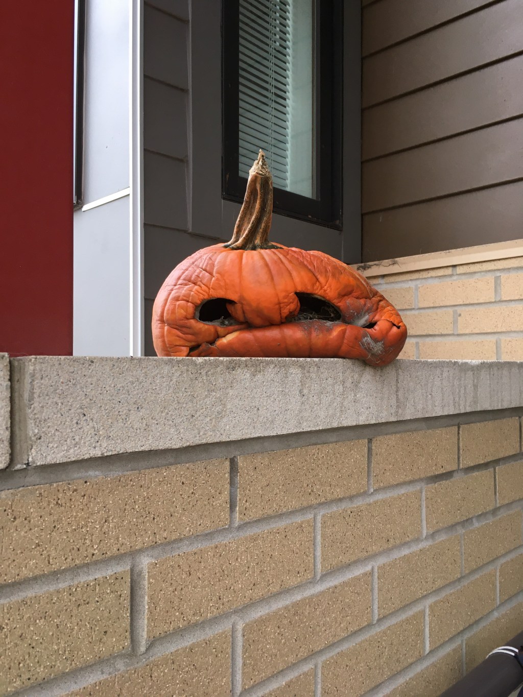 Capítulo 33: Felicidad de&nbsp;garrafón