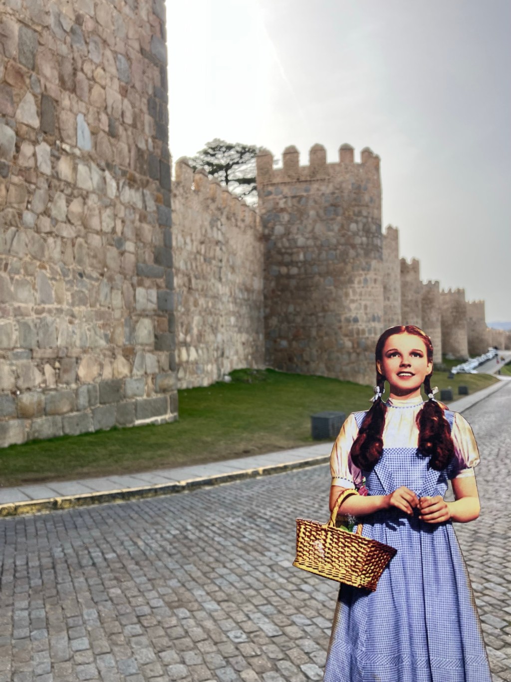 Capítulo 45: Dorita en (más)&nbsp;sitios